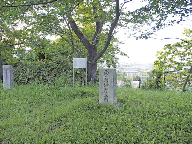 対鷗台公園そばの坂道と向ノ岡5