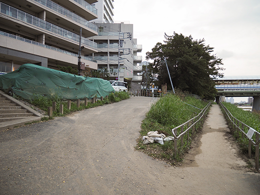 二子玉川の河川敷からの富士山と水害の記憶5