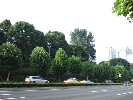 誉田坂(NO.145) 2
