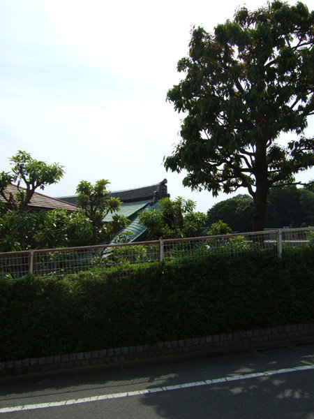 貴船坂(NO.225)3