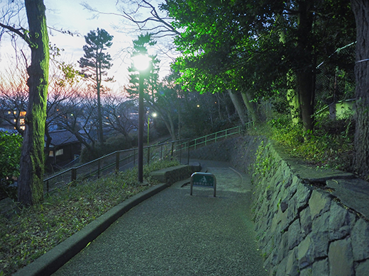 大蔵運動公園の階段からの富士山2