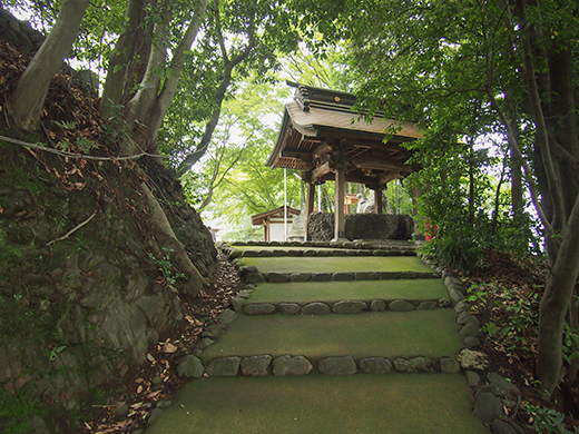 住吉神社の女坂?2