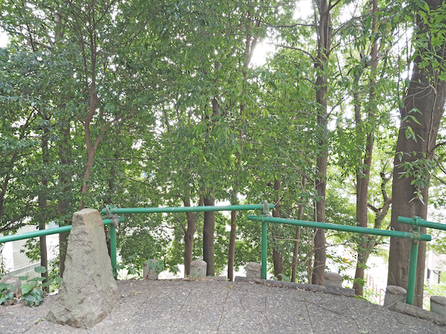 中里の富士塚と階段 4