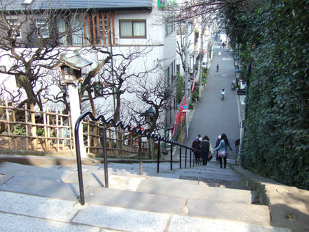 ŷ���к�(NO.186)2