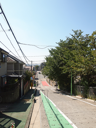 ���ܻ����ܤκ� [����ٻθ���]��NO.257��5