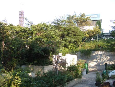 雁木坂 (NO.116) 5