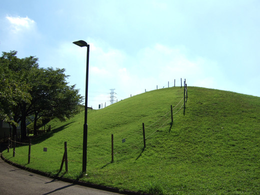 深大寺の低山1