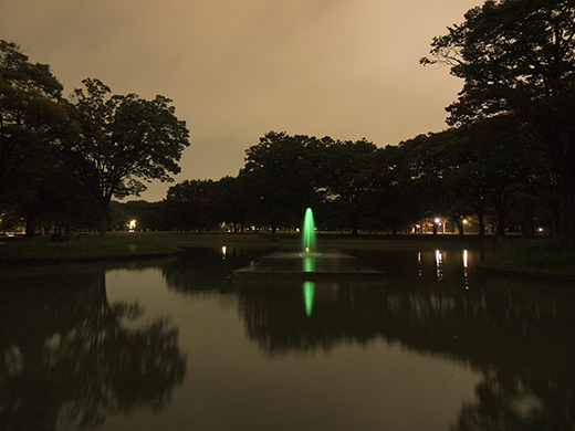 代々木公園夜景定期観測2