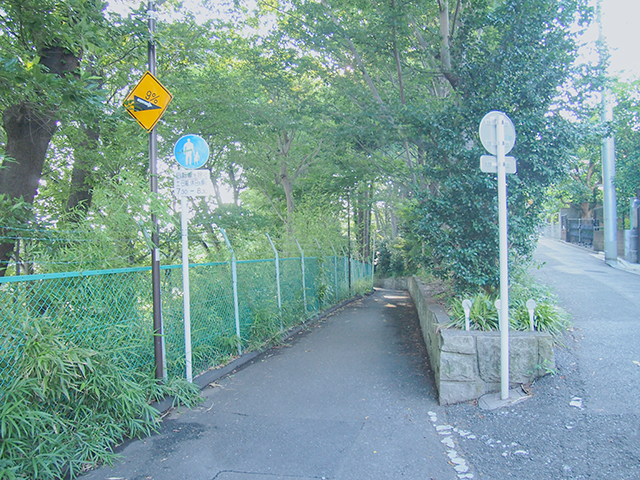 �ޤष���NO.485��3+