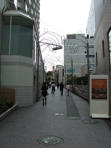 いちょう坂(NO.244)1