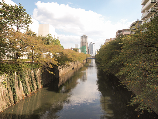 新茶屋坂(NO.264)3