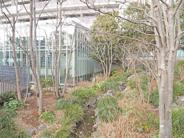豊島区庁舎の屋上庭園と眺望階段【とある街の風景430】2