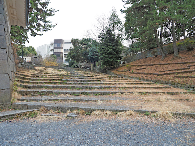 ���ں��NO.550��2