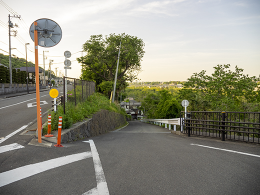 多摩川が見える草花の坂道5