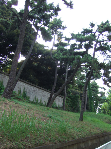 富士見坂(NO.148)2