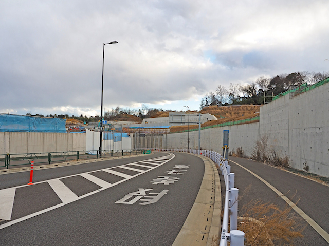 ����ߤ�����ɺ��NO.545��6