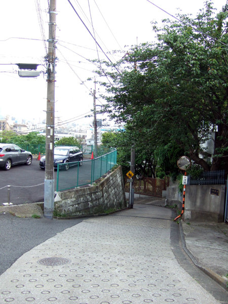 �ᤰ�ߺ��NO.230��8