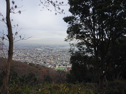 ��ƻ�ֵ���ƻ�פ��л�ƻ���⤤�Ƥߤ�_����2_10