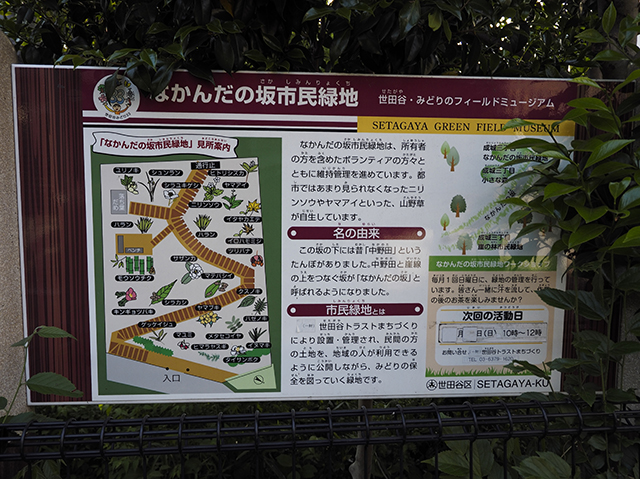 成城三丁目なかんだの坂市民緑地の階段1