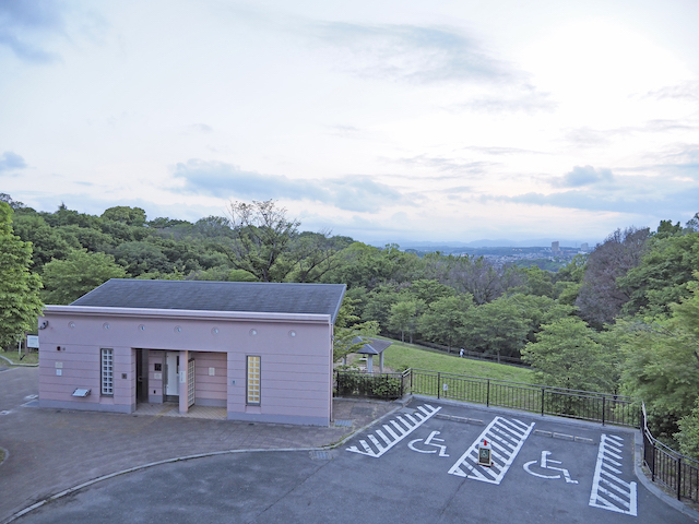 都立桜ヶ丘公園のウッドデッキ通路見晴台をぶらり【とある街の風景422】1
