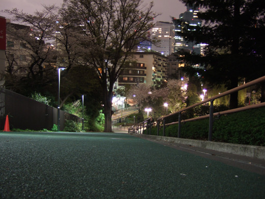 ミッドタウンわきの名もなき坂の夜景