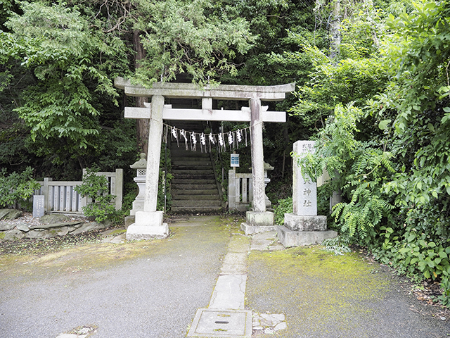 穴澤天神社への急階段7