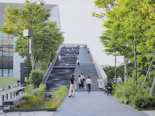 7��˥���������¿���ä���ƻ�ε���5��