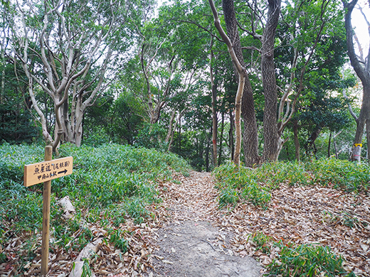 ��ƻ�ֵ���ƻ�פ��л�ƻ���⤤�Ƥߤ�_����2_5