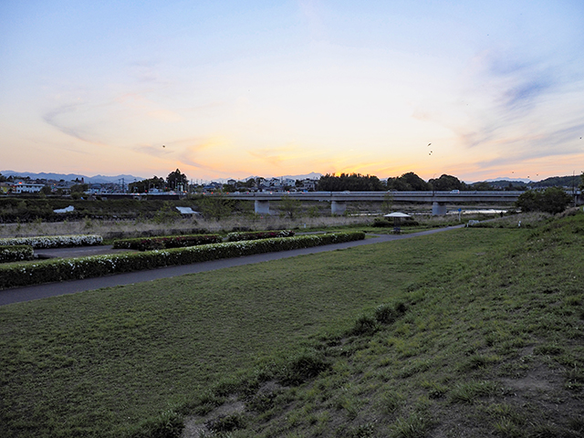 多摩川中央公園からの富士山ビュー(とある街の風景343)3