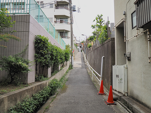 �Ǻ��NO.430��3+