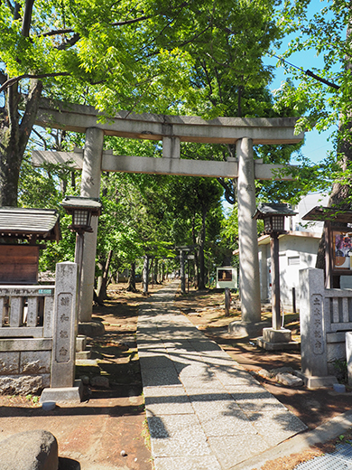氷川坂(NO.277)7