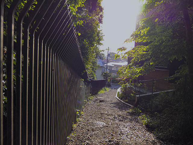 どんぐり坂(NO.360)3