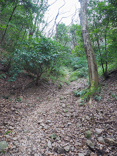 ��ƻ�ֵ���ƻ�פ��л�ƻ���⤤�Ƥߤ�_����2_2