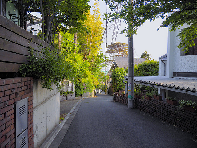 なかんだの坂(NO.359)2