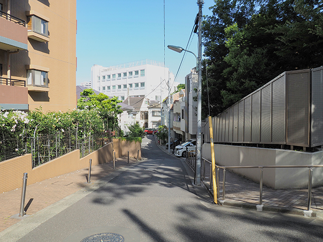 �椦�줤���NO.417��2+