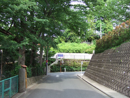 ���պ��NO.226��2