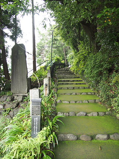 住吉神社の女坂?7n