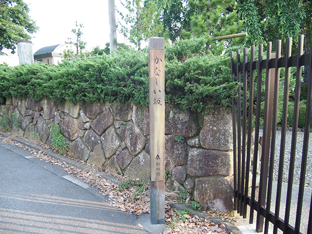 かなしい坂【NO.487】2