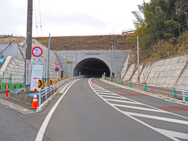 ����ߤ�����ɺ��NO.545��2