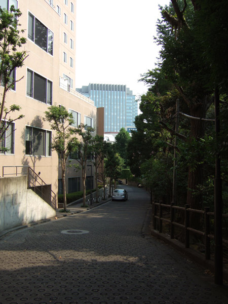 錦華坂(NO.217)6