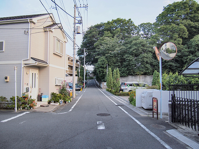 �����NO.447��1+