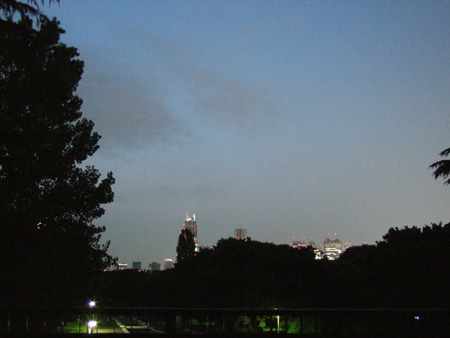 代々木公園も、もうすぐ真夏です