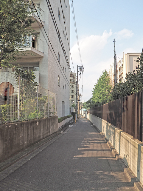 ͩ����NO.552��2