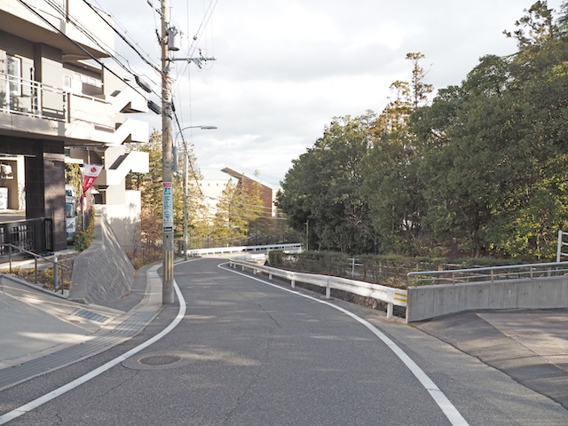 ����NO.729��3