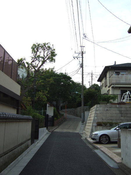 �ᤰ�ߺ��NO.230��12