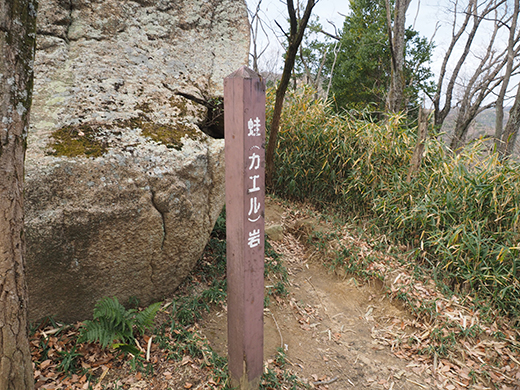 古道「魚屋道」の登山道を歩いてみる3-4