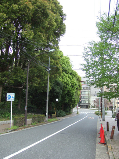 ��ëԢ�ܱ��ȸ���š�β��κ�5