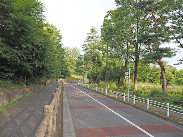 狭山公園よこにある多摩湖通りの坂道／東大和市多摩湖