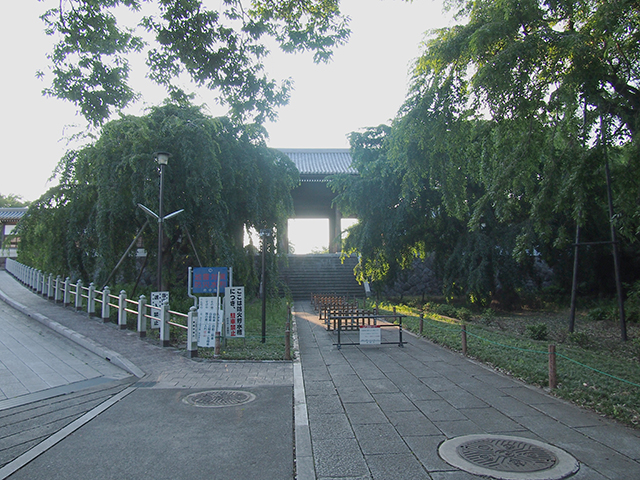 東郷寺の階段と山門1
