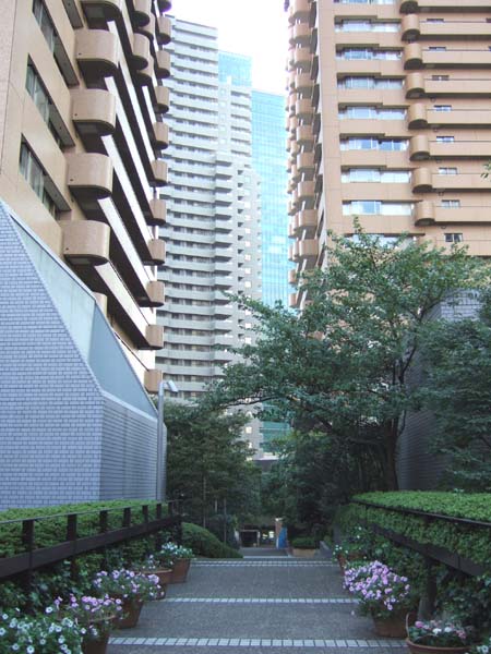 雁木坂 (NO.116) 6